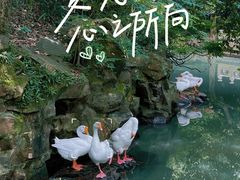-兰亭风景区