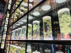 -广东中医药博物馆