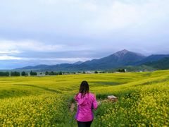 -扁都口生态休闲旅游区