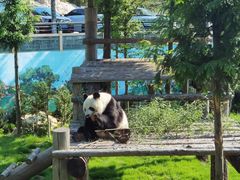 -西霞口神雕山野生动物世界