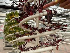 -兴芮温泉度假区