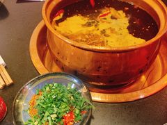 -镇江龙·火锅串串(武侯祠店)