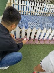 -萌宠亲子动物乐园(槐房万达店)