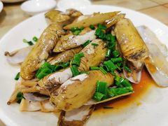 -红灯笼龙凤饭店(宁波老字号店)