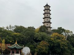-江心屿景区