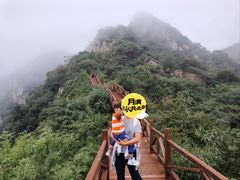 -大岭沟猕猴桃谷风景区