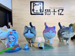 -猫十亿·布偶金渐层·曼基康矮脚猫舍(青年路店)