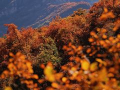 -周口店坡峰岭风景区