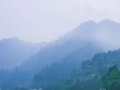 -后柳水乡
