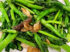 白灼广东菜心-新旺茶餐厅(嘉里城店)