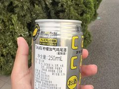 -日本大使馆-新闻文化中心