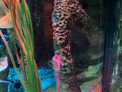 -沈阳海洋探索中心