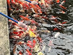 -济南野生动物世界