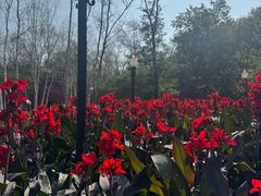 -沈阳植物园