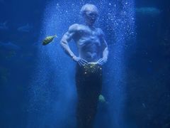 -左海海底世界