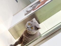 -佳雯宠物医院(金华南路分院)