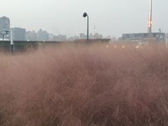 -嘉定宝龙广场