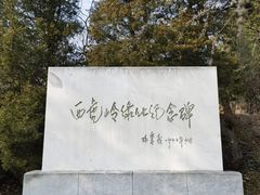 -白水寺森林公园