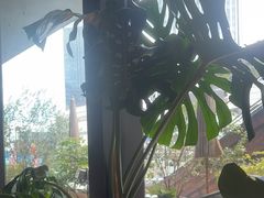 -SHAN山(前滩太古里店)