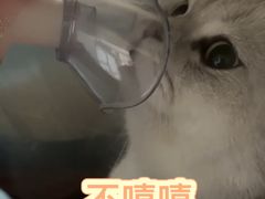 -菲尔斯特宠物医院