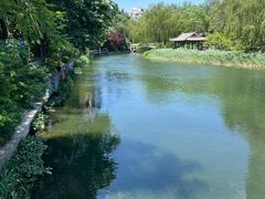 -南长河公园