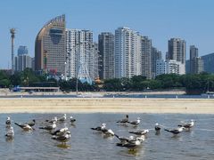 -辰熙ACX星海艺术中心