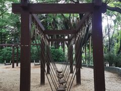 -深圳国际园林花卉博览园