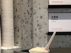 -Dip in Gelato(富民路店)