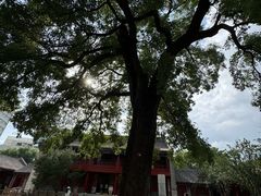 -宣南文化博物馆