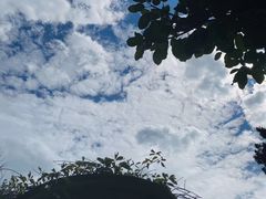 -蝴蝶泉公园