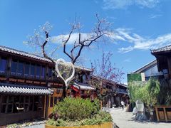 -木王宴语·野生鲜菌火锅(玉河店)