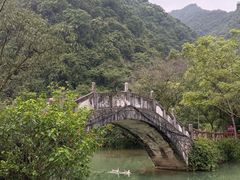 -靖西鹅泉风景区