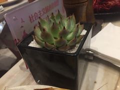 -新发展亚太JW万豪酒店·福苑咖啡厅