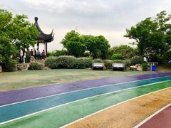 -贡湖湾湿地公园