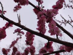 -佛慧山