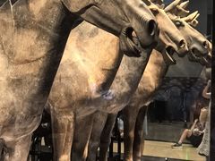 -秦始皇帝陵博物院-丽山园