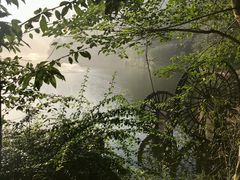 -重庆彩云湖湿地公园