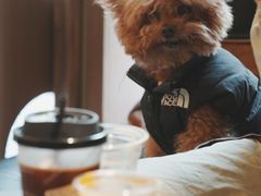 -SeekSeeking咖啡专门店(堰塘街店)