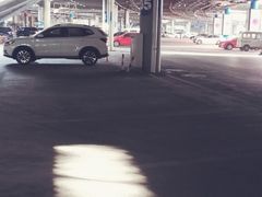 -南京奥林匹克体育中心-体育馆