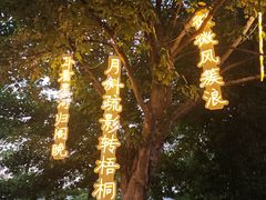 -南京眼步行桥