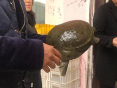 -元银甲·湖北地标美食(汉阳店)