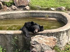 -无锡动物园·太湖欢乐园