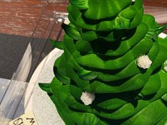 -潮一不贰·法式甜品·生日蛋糕·西式简餐(外滩店)