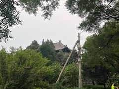 -农园餐厅(北京大学店)