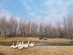 -北京野生动物园