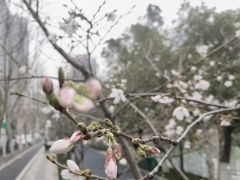 -西北湖绿化广场