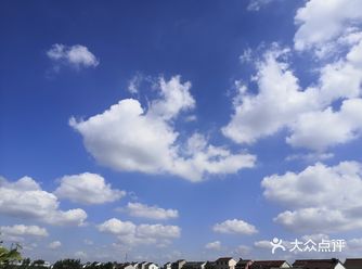 秋风飒爽，宝岛眼镜会员日聚惠来袭啦