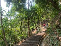 -火炉山森林公园