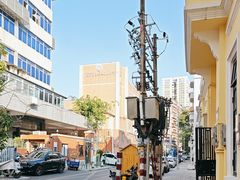 -越秀西湖花市(广州城市广场花卉店)
