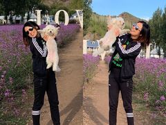 -紫海香堤香草艺术庄园